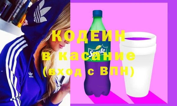 сатива Дмитриев