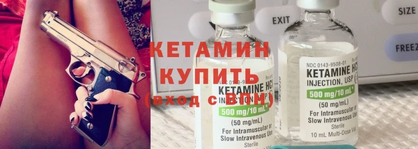 сатива Дмитриев