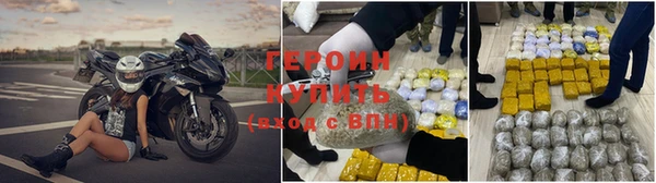 сатива Дмитриев