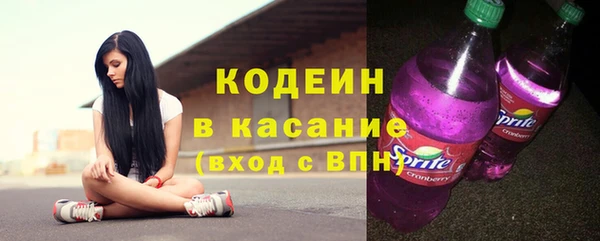 соль ск Дмитровск