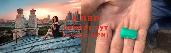 сатива Дмитриев