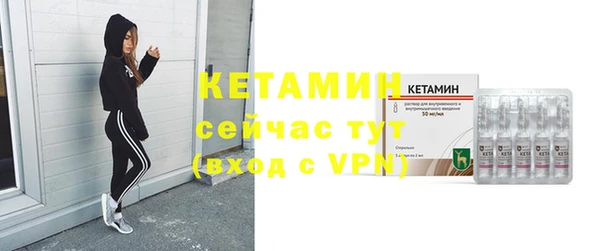 сатива Дмитриев