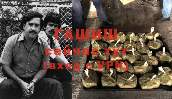 сатива Дмитриев