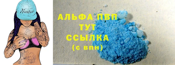 сатива Дмитриев