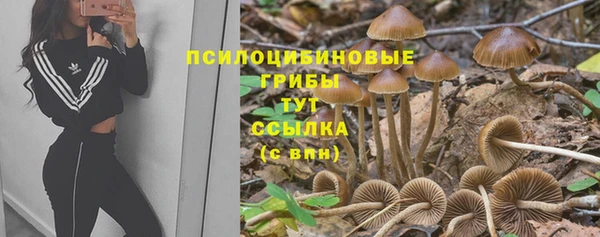соль ск Дмитровск